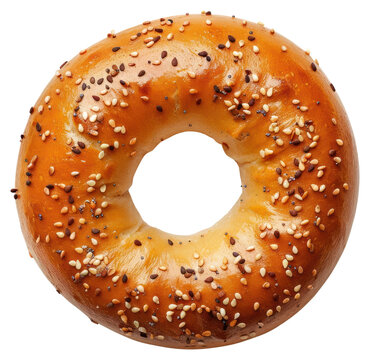 PNG Freshly baked sesame seed bagel