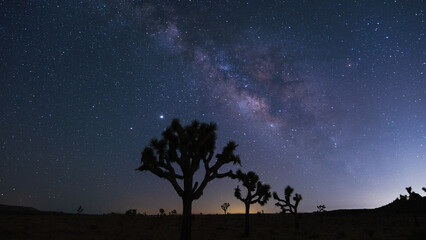 starry night sky © Mike