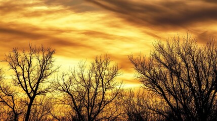 Obraz premium Golden hour reflecting on a calm lake