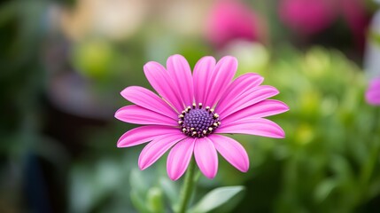 Obraz premium Vibrant Flower Petals in Bloom: Macro Photography with Shallow Depth of Field 1