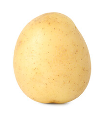 One young fresh potato isolated on white
