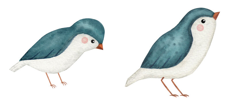 P&aacute;ssaros Azuis em Aquarela