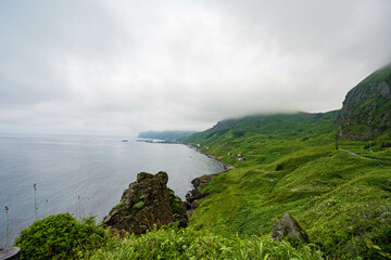 桃台猫台展望台
