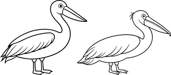 pelican line art vector illustration 