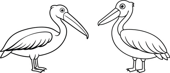 pelican line art vector illustration 