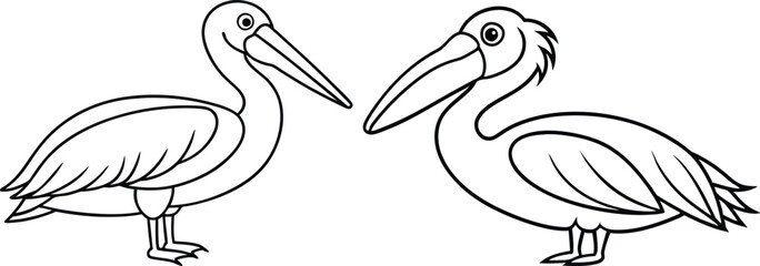 pelican line art vector illustration 
