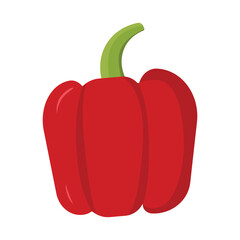 paprika cartoon style modern vector illustration isolated on white background, hand drawn, flat design