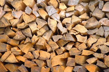 積まれた薪の断面