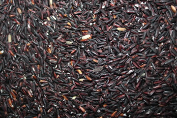 Close up of black rice grains.