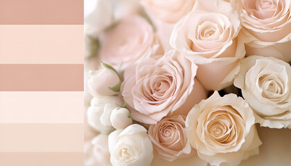 Obraz premium A solid color, like beige or soft pink, that provides a clean and unintrusive backdrop