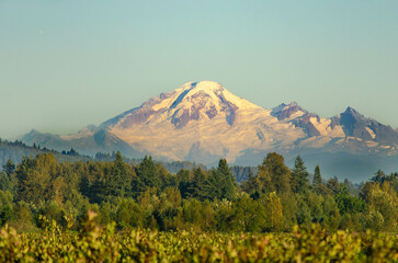 Stunning View of a mountain With Snow-Capped Peaks and Lush Forests