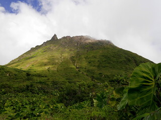 La soufriere volcano emerging from clouds and luxurious vegetation, saint claude, basse terre, guadeloupe. Mountain landscape in caribbean island