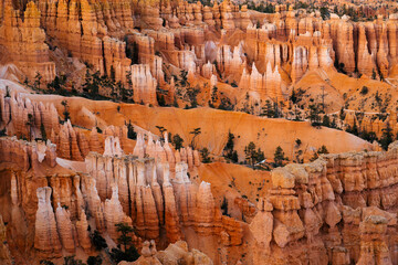 Bryce Canyon Hoodoos