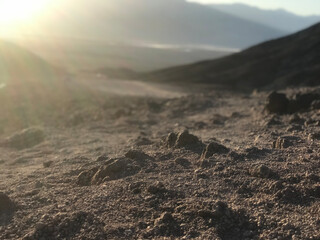 landscape in the morning
