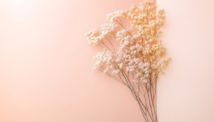 Obraz premium A solid color, like beige or soft pink, that provides a clean and unintrusive backdrop