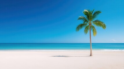 Fototapeta premium Deserted beach with a single palm tree, soft sand, tranquil waves, distant horizon, Labor Day, island retreat