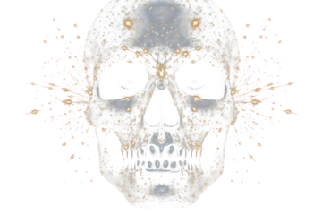 PNG Skull black night black background.