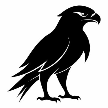 recommend clip art: hawk-vector, bird silhouette vector 