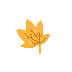 autumn leaf illustration