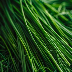 A close-up of vibrant green grass blades, showcasing their lush texture and natural detail. The image highlights the freshness and simplicity of grass, emphasizing its rich color and connection to nat