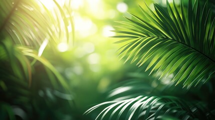 Obraz premium A palm leaf background with a soft focus, perfect for a tropical themed project or design.