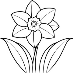 Nature-Inspired Daffodil Vector Art