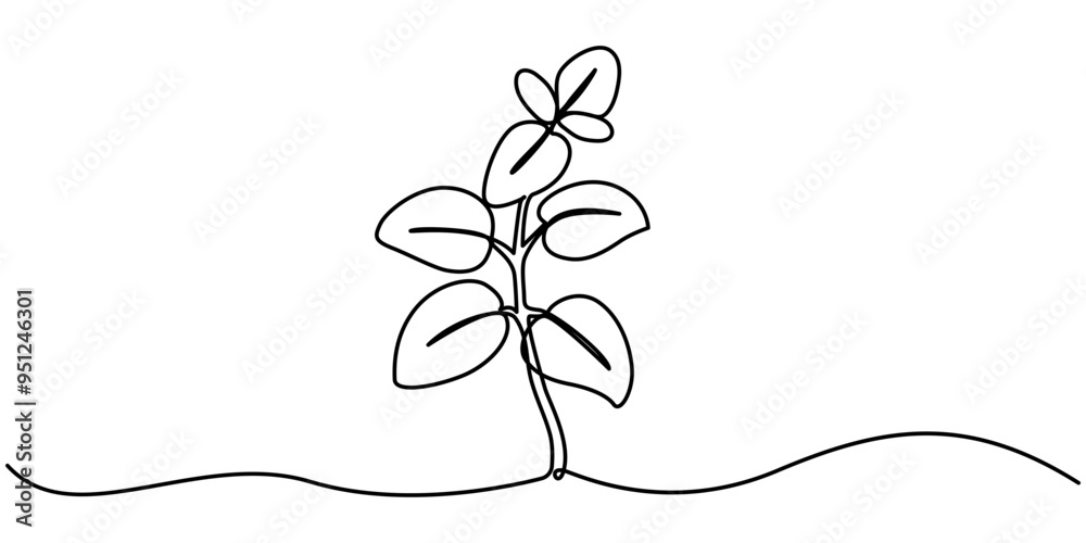 Wall mural oregano leaves simple vector sketch drawing. one continuous line art illustration for label design o