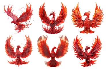 Fiery phoenix birds in various poses isolated on transparent background