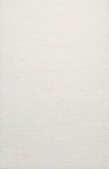 A blank, white canvas texture background with subtle paper-like grain, perfect for presenting digital illustrations, artwork, or typography in a clean and uncluttered environment.

