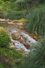 A Serene Stream Gently Flowing Through a Beautifully Lush Garden Landscape in Nature