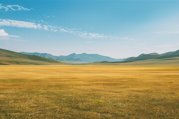 Fototapeta premium Straight field landscape, steppe, sand, hills and mountains