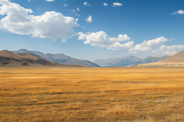 Obraz premium Straight field land, steppe, sand, hills and mountains