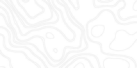Abstract white topographic map background with, The topographic map contour in lines isolated.