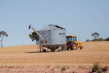 Fototapeta premium Australian grain field bin