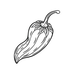 Whole fresh chili pepper vegetable thin line Icon. Chili pepper Icon for design illustration