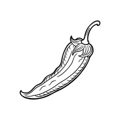 Whole fresh chili pepper vegetable thin line Icon. Chili pepper Icon for design. Easily editable.