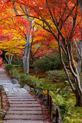 京都の宝筐院の紅葉