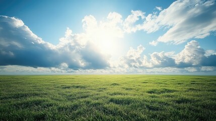 Obraz premium A vast empty green meadow under a beautiful sky with fluffy clouds, capturing the serenity of nature and the open landscape
