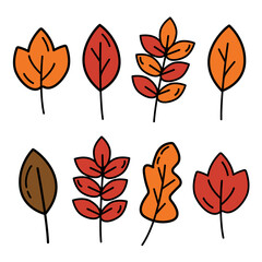 Vector set of different trendy outline flat leaves. Oak, maple, chestnut and birch orange, red, brown leaves. Autumn falling leaves isolated on white background