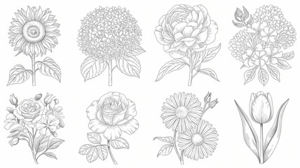 Fototapeta premium set of bookmark illustration diy coloring page , cute flowers, leaves and plants line drawing 