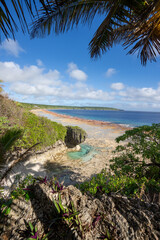 Fototapeta premium Rock pools on the shoreline of the tropical island of Niue in the South Pacific