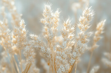 Fototapeta premium macro shot of golden wheat