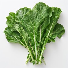 Fresh kale leaf, vibrant green color, with visible veins and slightly crisp edges.