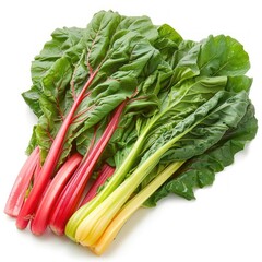 Colorful bunches of spinach and red chard on a white background.