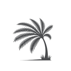 palm tree silhouette