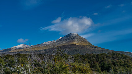 A beautiful mountain against the blue sky. A cloud over a snow-covered peak. The forest grows on the slopes. In the foreground are green trees, dry branches. Argentina. The Andes. Tierra del Fuego