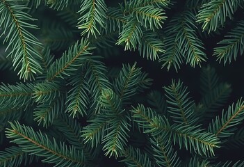 fern leaf background