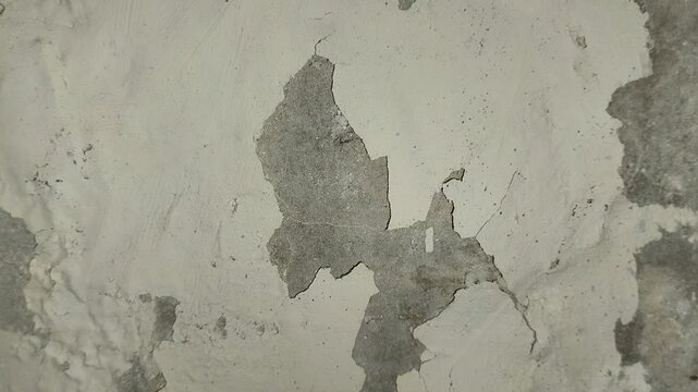 wall paint that is peeling because the wall is damp