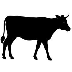 Walking cow silhouette