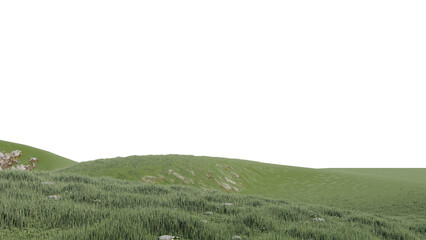 Obraz premium nature grass meadow land lush greenery landscape lawn isolated background.